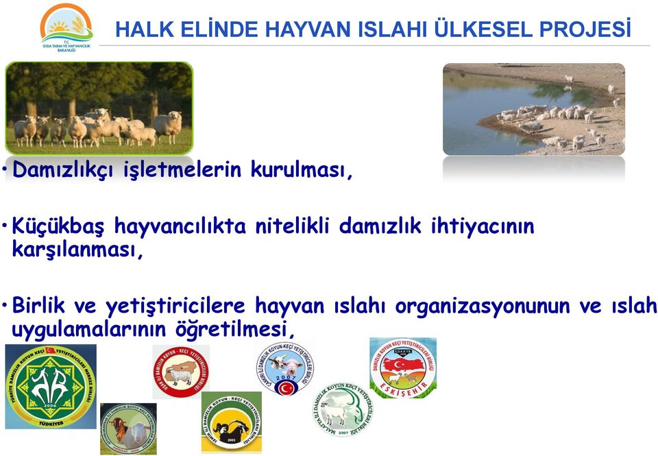 karşılanması, Birlik ve yetiştiricilere hayvan