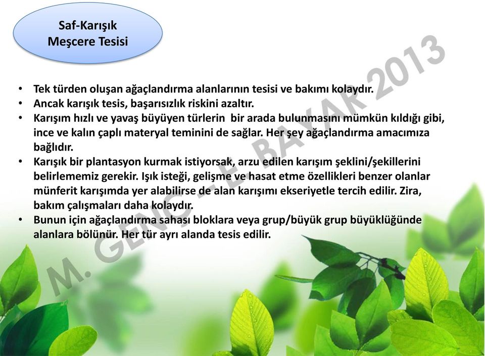 Karışık bir plantasyon kurmak istiyorsak, arzu edilen karışım şeklini/şekillerini belirlememiz gerekir.