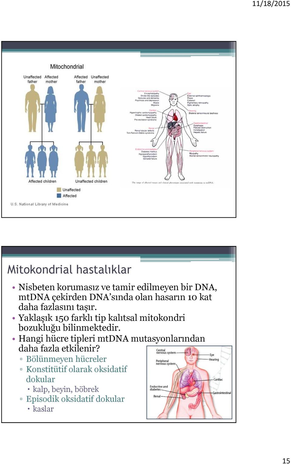 Yaklaşık 150 farklı tip kalıtsal mitokondri bozukluğu bilinmektedir.
