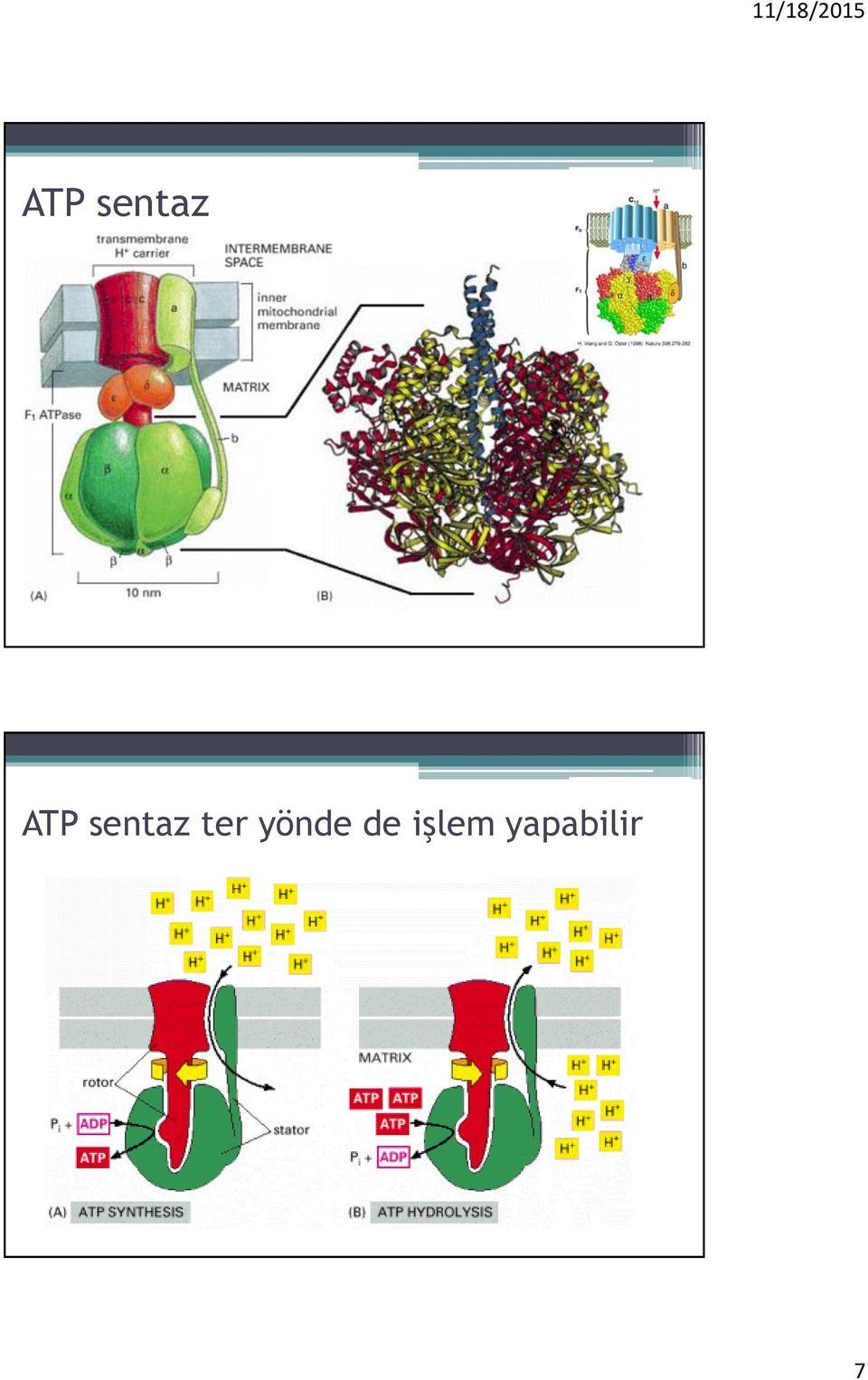 işlem