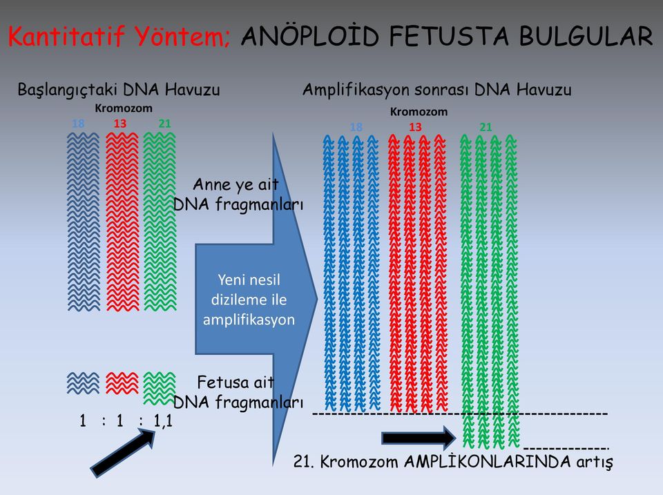 Anne ye ait DNA fragmanları Yeni nesil dizileme ile amplifikasyon
