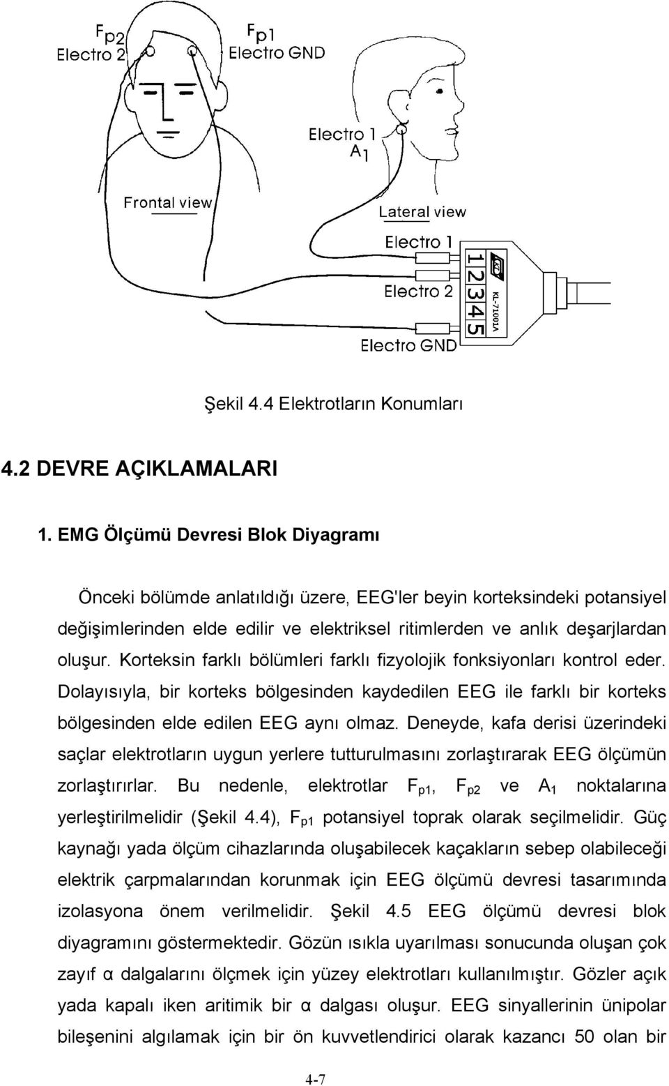 Korteksin farklı bölümleri farklı fizyolojik fonksiyonları kontrol eder. Dolayısıyla, bir korteks bölgesinden kaydedilen EEG ile farklı bir korteks bölgesinden elde edilen EEG aynı olmaz.