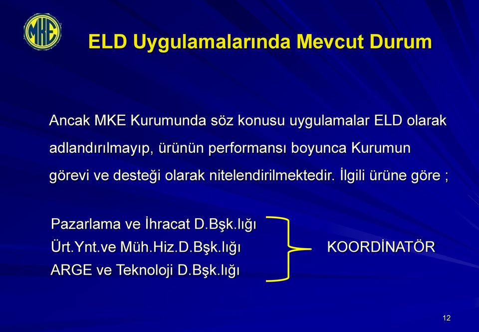 desteği olarak nitelendirilmektedir.