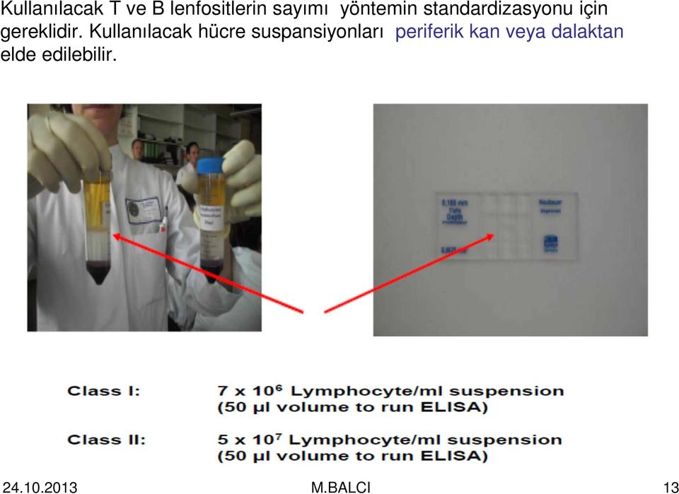 Kullanılacak hücre suspansiyonları