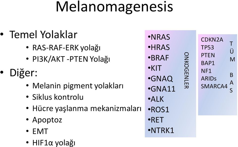 mekanizmaları Apoptoz EMT HIF1α yolağı NRAS HRAS BRAF KIT GNAQ GNA11