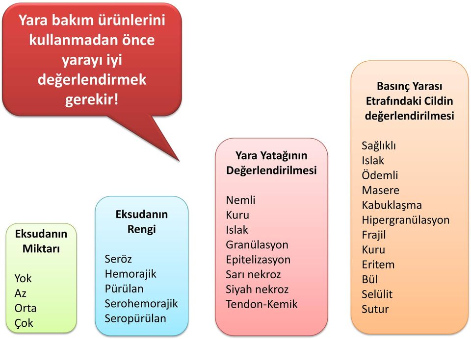 Hemorajik Pürülan Serohemorajik Seropürülan Yara Yatağının Değerlendirilmesi Nemli Kuru Islak Granülasyon