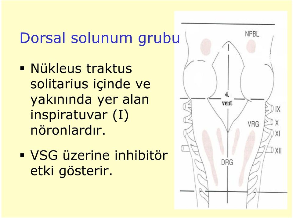 yakınında yer alan inspiratuvar (I)