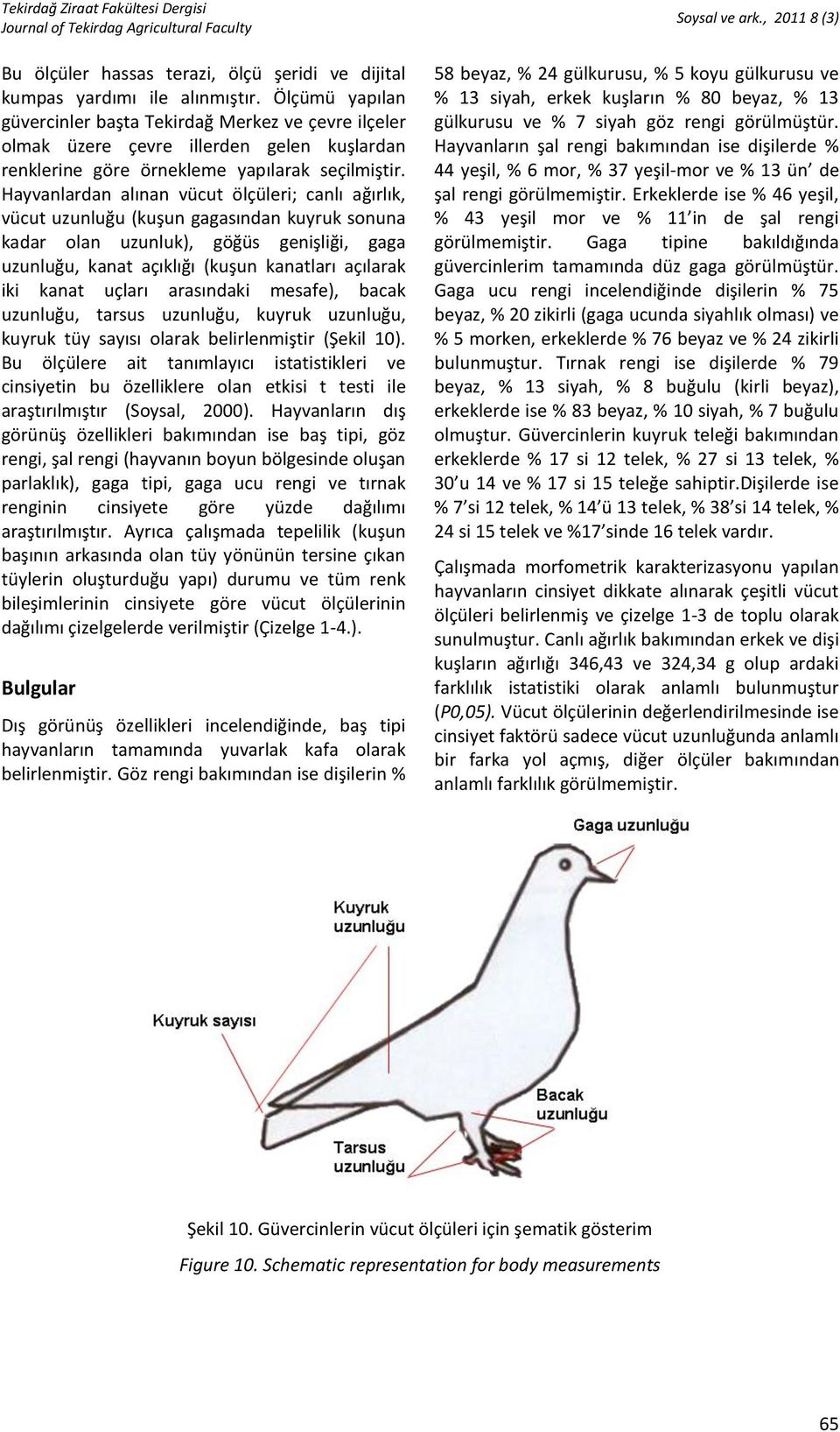 Hayvanlardan alınan vücut ölçüleri; canlı ağırlık, vücut uzunluğu (kuşun gagasından kuyruk sonuna kadar olan uzunluk), göğüs genişliği, gaga uzunluğu, kanat açıklığı (kuşun kanatları açılarak iki