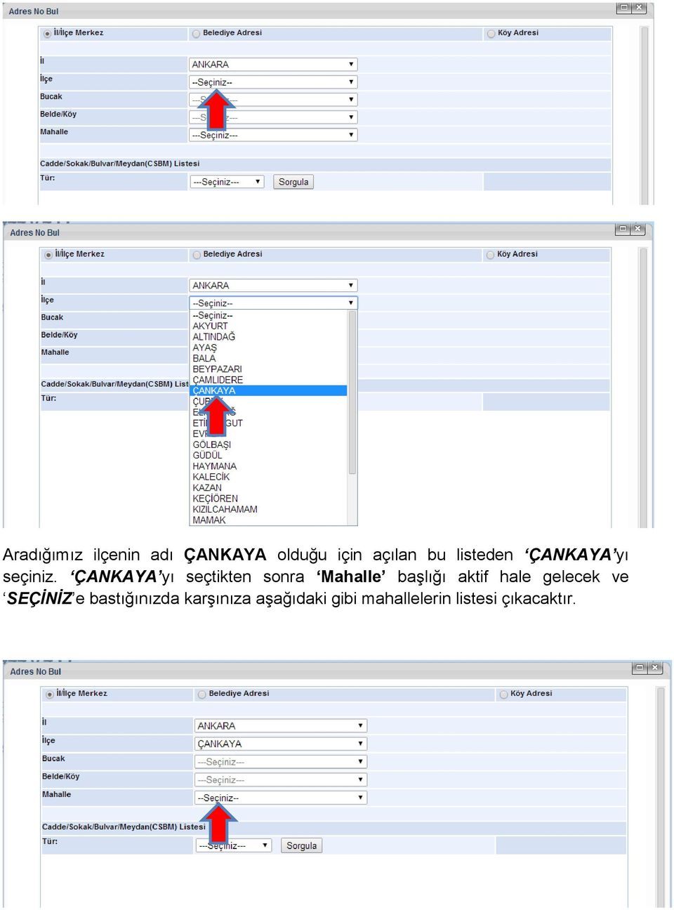 ÇANKAYA yı seçtikten sonra Mahalle başlığı aktif hale