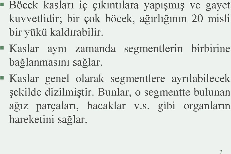 Kaslar aynı zamanda segmentlerin birbirine bağlanmasını sağlar.