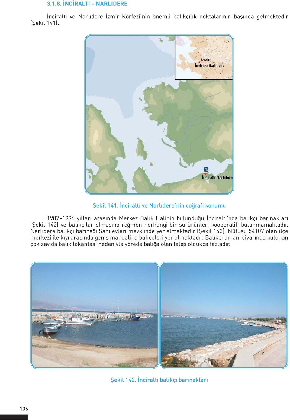 rağmen herhangi bir su ürünleri kooperatifi bulunmamaktadır. Narlıdere balıkçı barınağı Sahilevleri mevkiinde yer almaktadır (Şekil 143).