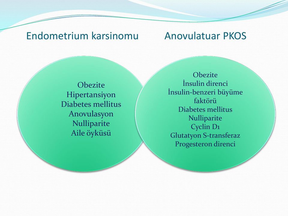 İnsulin direnci İnsulin-benzeri büyüme faktörü Diabetes