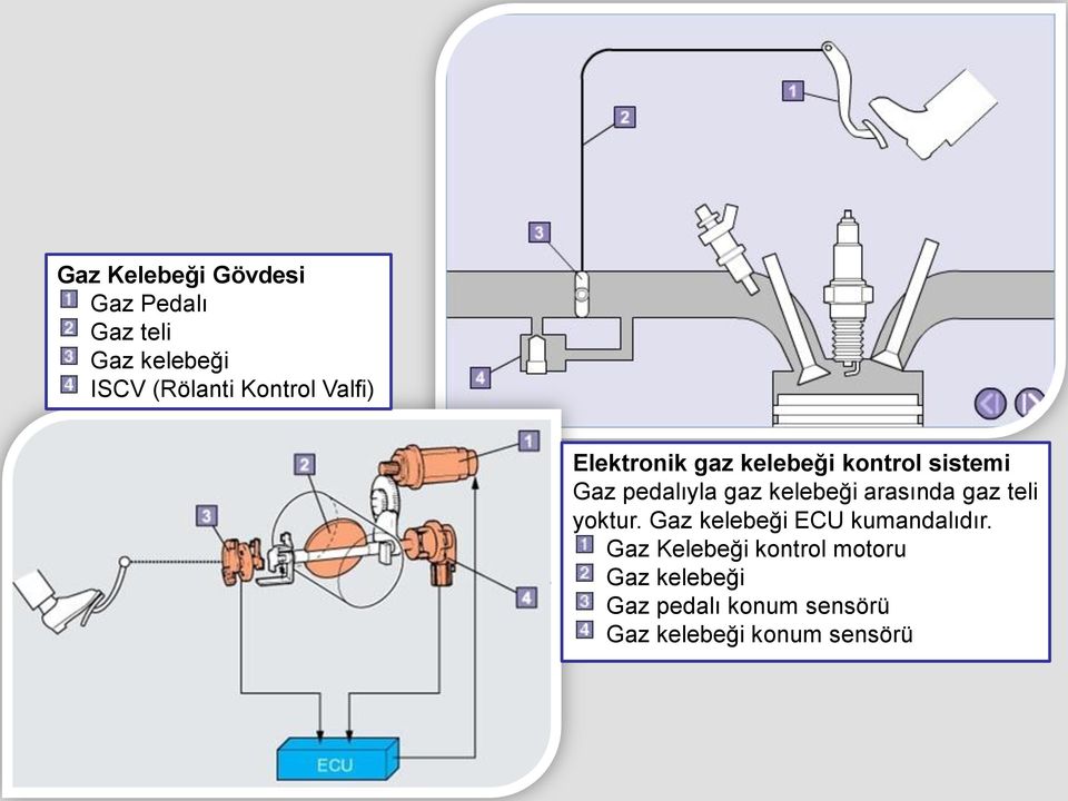 kelebeği arasında gaz teli yoktur. Gaz kelebeği ECU kumandalıdır.