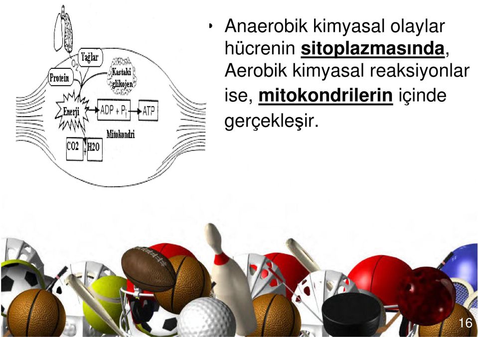 Aerobik kimyasal reaksiyonlar