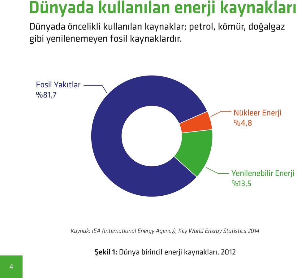 Fosil Yakıtlar %81,7 Nükleer Enerji %4,8 Yenilenebilir Enerji %13,5 Kaynak: IEA