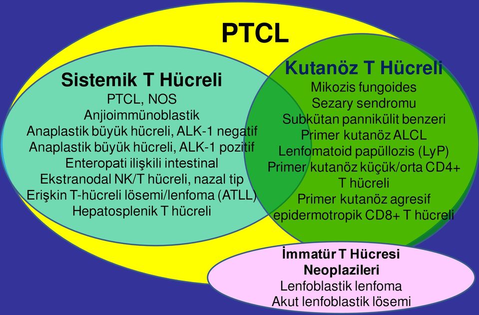 Hücreli Mikozis fungoides Sezary sendromu Subkütan pannikülit benzeri Primer kutanöz ALCL Lenfomatoid papüllozis (LyP) Primer kutanöz