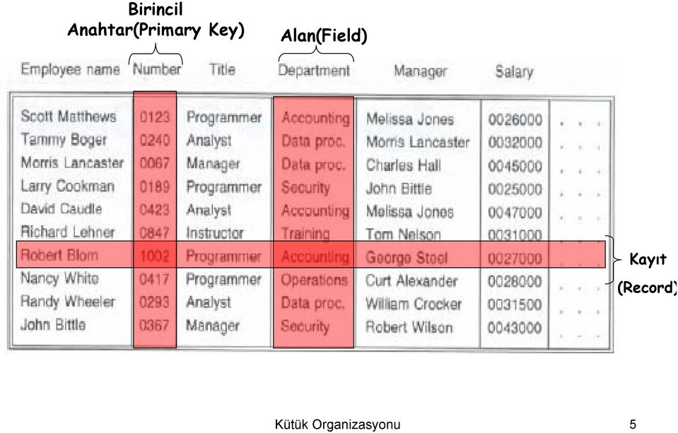 Key) Alan(Field)