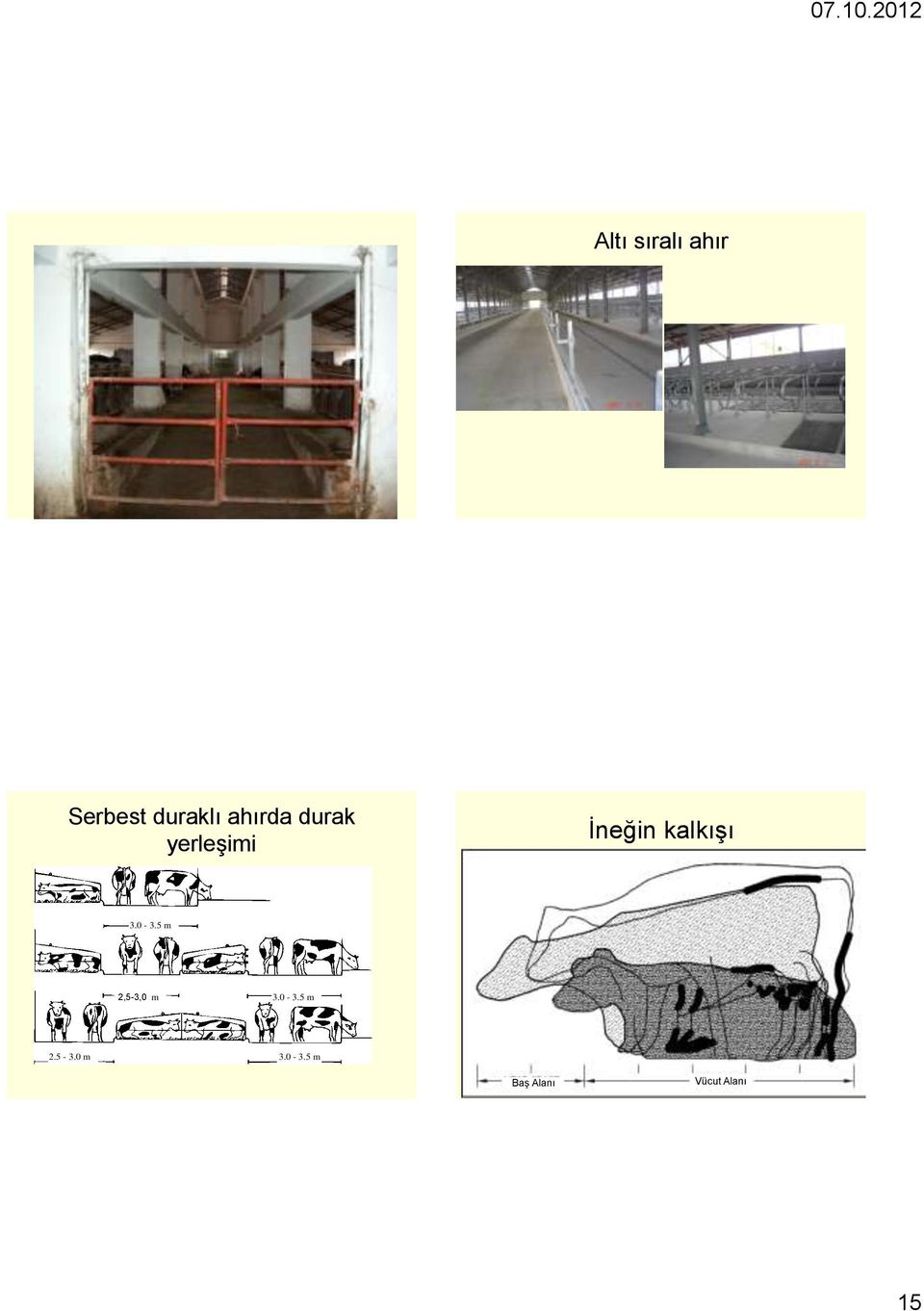 3.0-3.5 m 2.4 2,5-3,0-3.0 m 3.0-3.5 m 2.5-3.0 m 3.0-3.5 m Baş Alanı Vücut Alanı 15