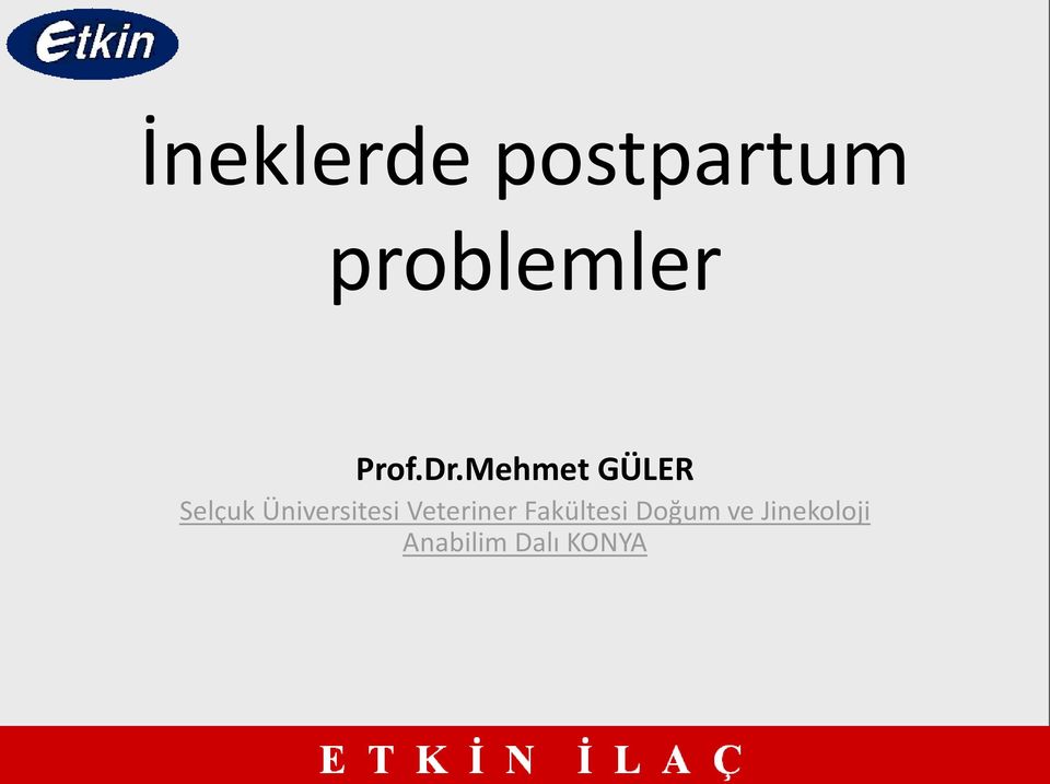 Mehmet GÜLER Selçuk Üniversitesi