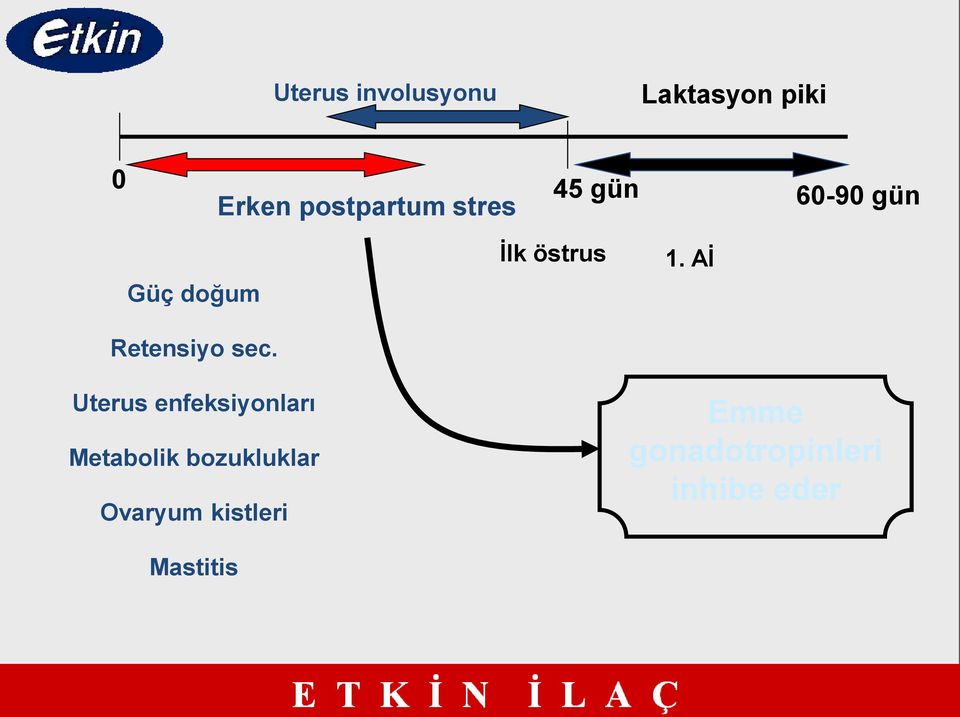 Uterus enfeksiyonları Metabolik bozukluklar Ovaryum