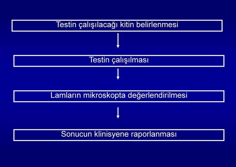 Lamların mikroskopta