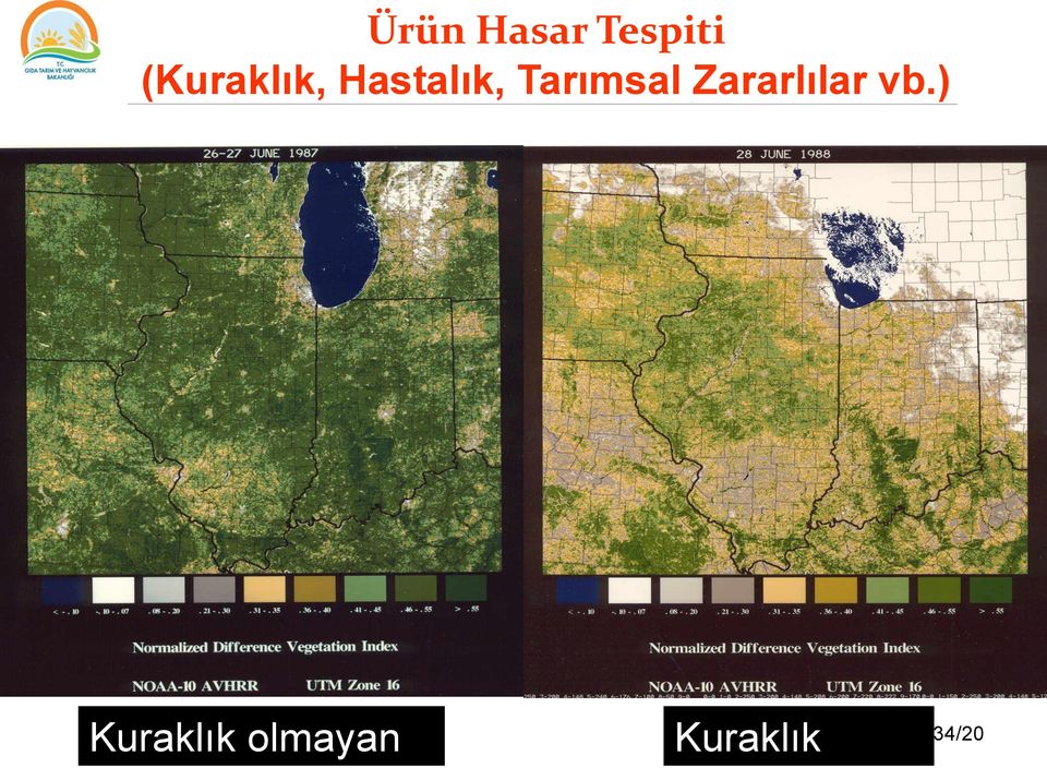 Tarımsal Zararlılar vb.