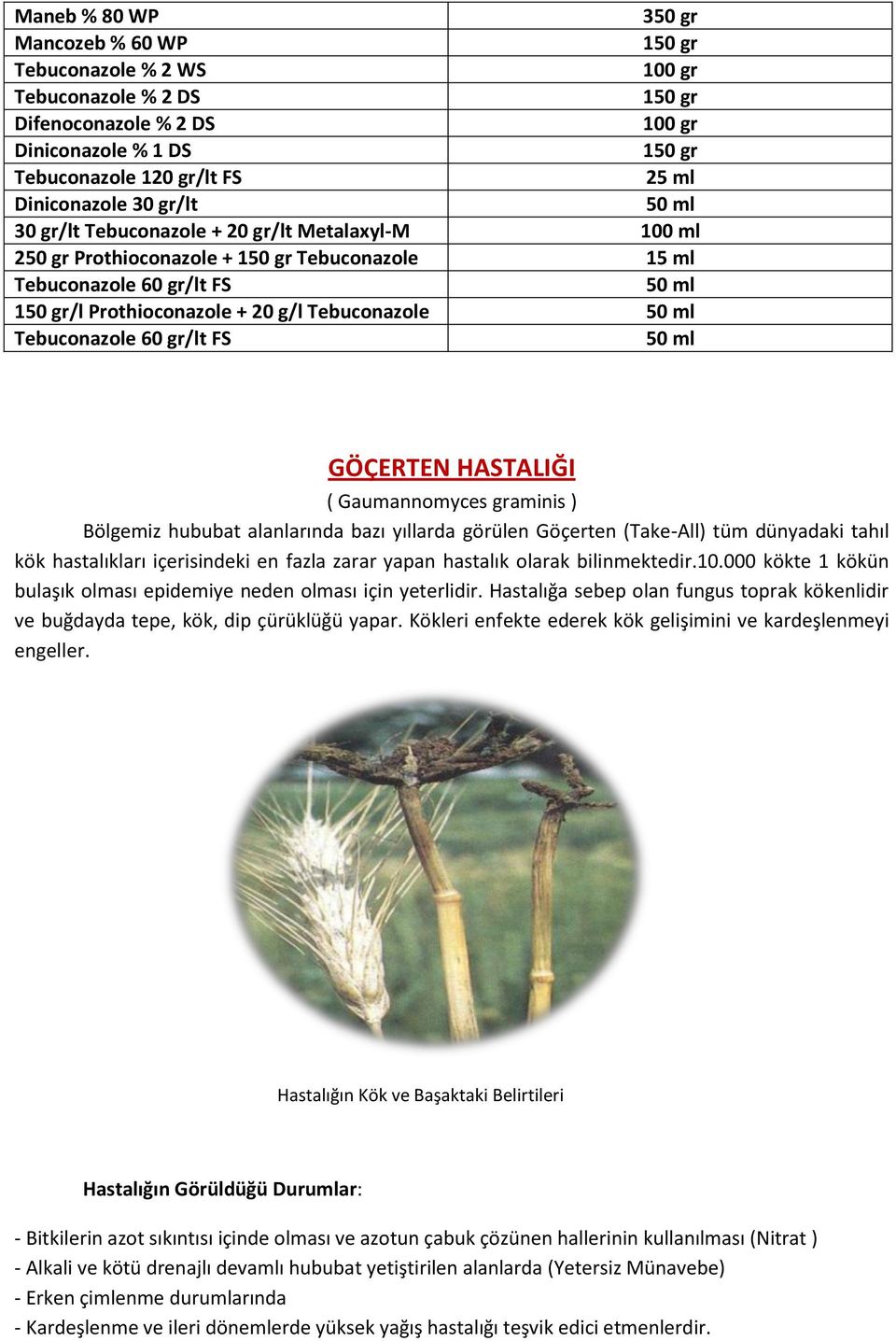 ml Tebuconazole 60 gr/lt FS 50 ml GÖÇERTEN HASTALIĞI ( Gaumannomyces graminis ) Bölgemiz hububat alanlarında bazı yıllarda görülen Göçerten (Take-All) tüm dünyadaki tahıl kök hastalıkları