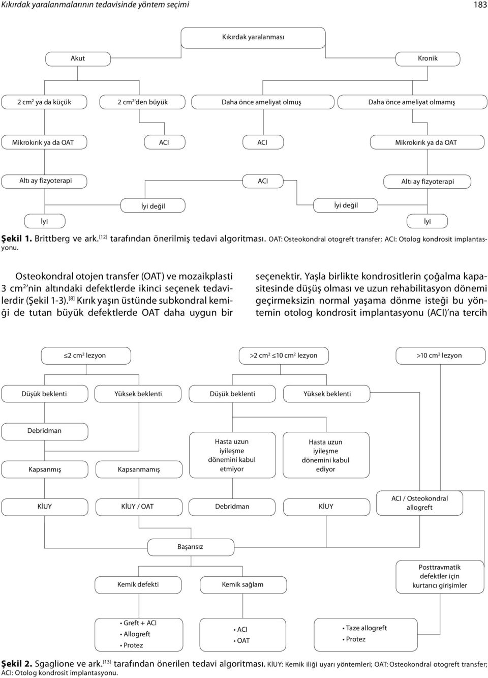 OAT: Osteokondral otogreft transfer; ACI: Otolog kondrosit implantasyonu. Osteokondral otojen transfer (OAT) ve mozaikplasti 3 cm 2 nin altındaki defektlerde ikinci seçenek tedavilerdir (Şekil 1-3).