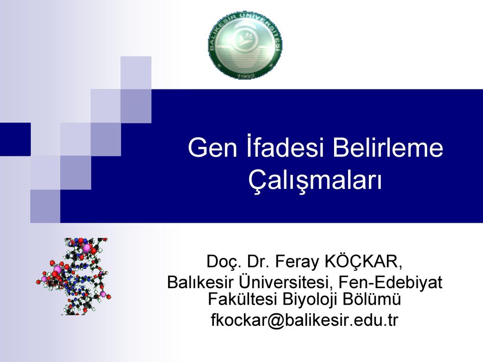 Feray KÖÇKAR, Balıkesir