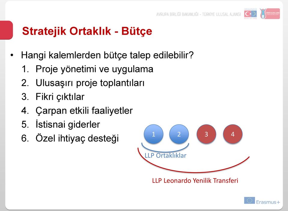 Fikri çıktılar 4. Çarpan etkili faaliyetler 5. İstisnai giderler 6.