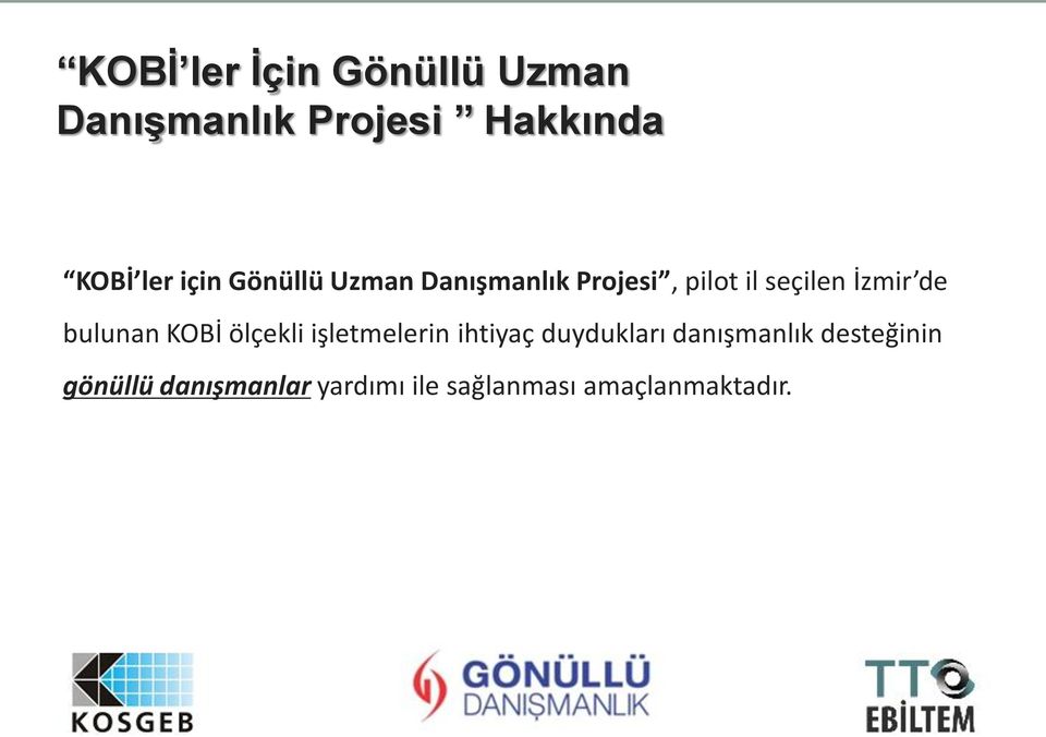 bulunan KOBİ ölçekli işletmelerin ihtiyaç duydukları danışmanlık