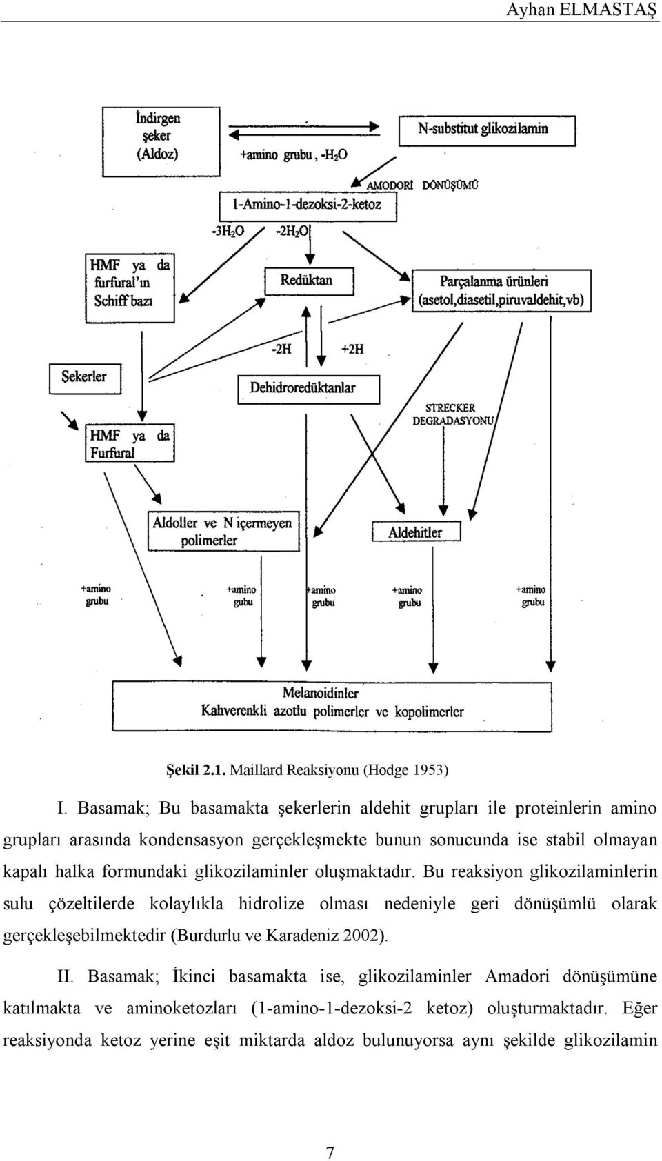 halka formundaki glikozilaminler oluşmaktadır.