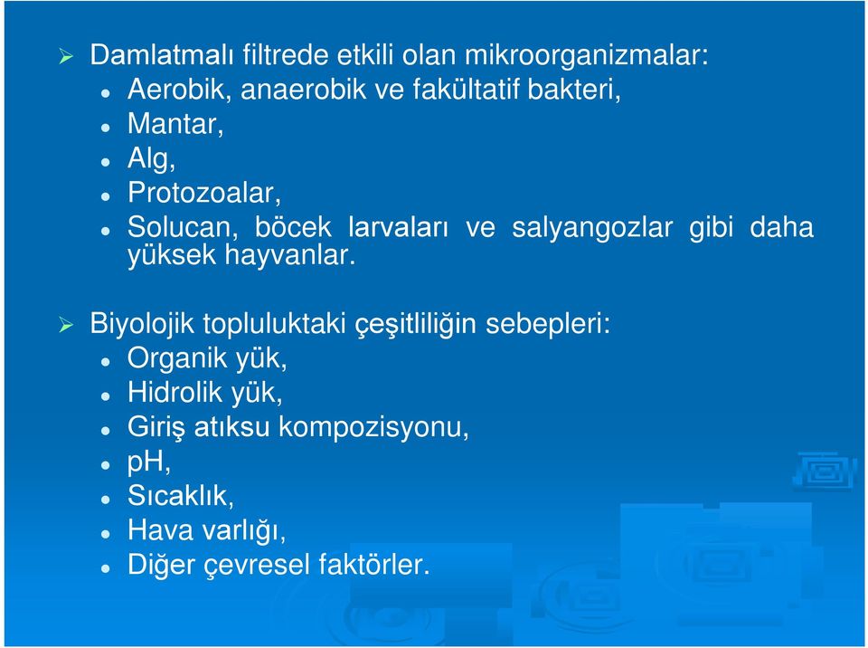 yüksek hayvanlar.