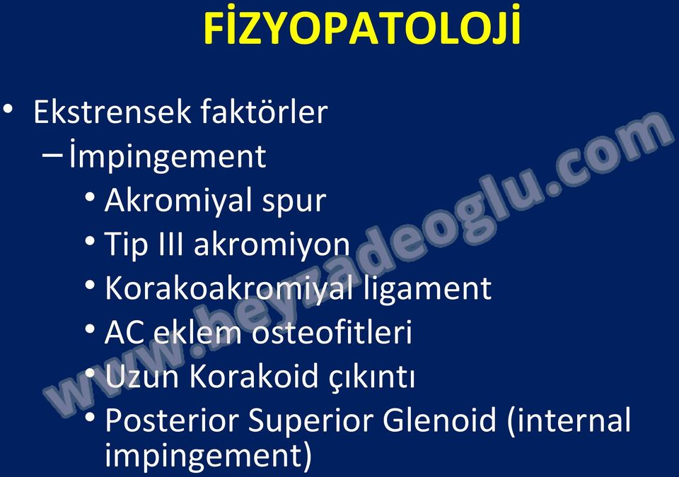 ligament AC eklem osteofitleri Uzun Korakoid