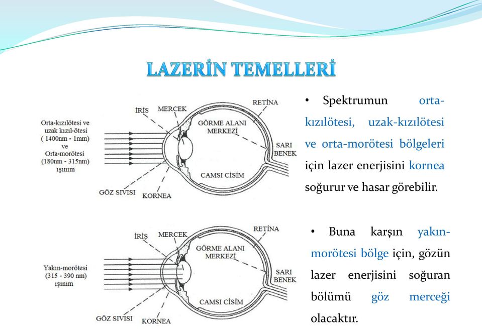 soğurur ve hasar görebilir.