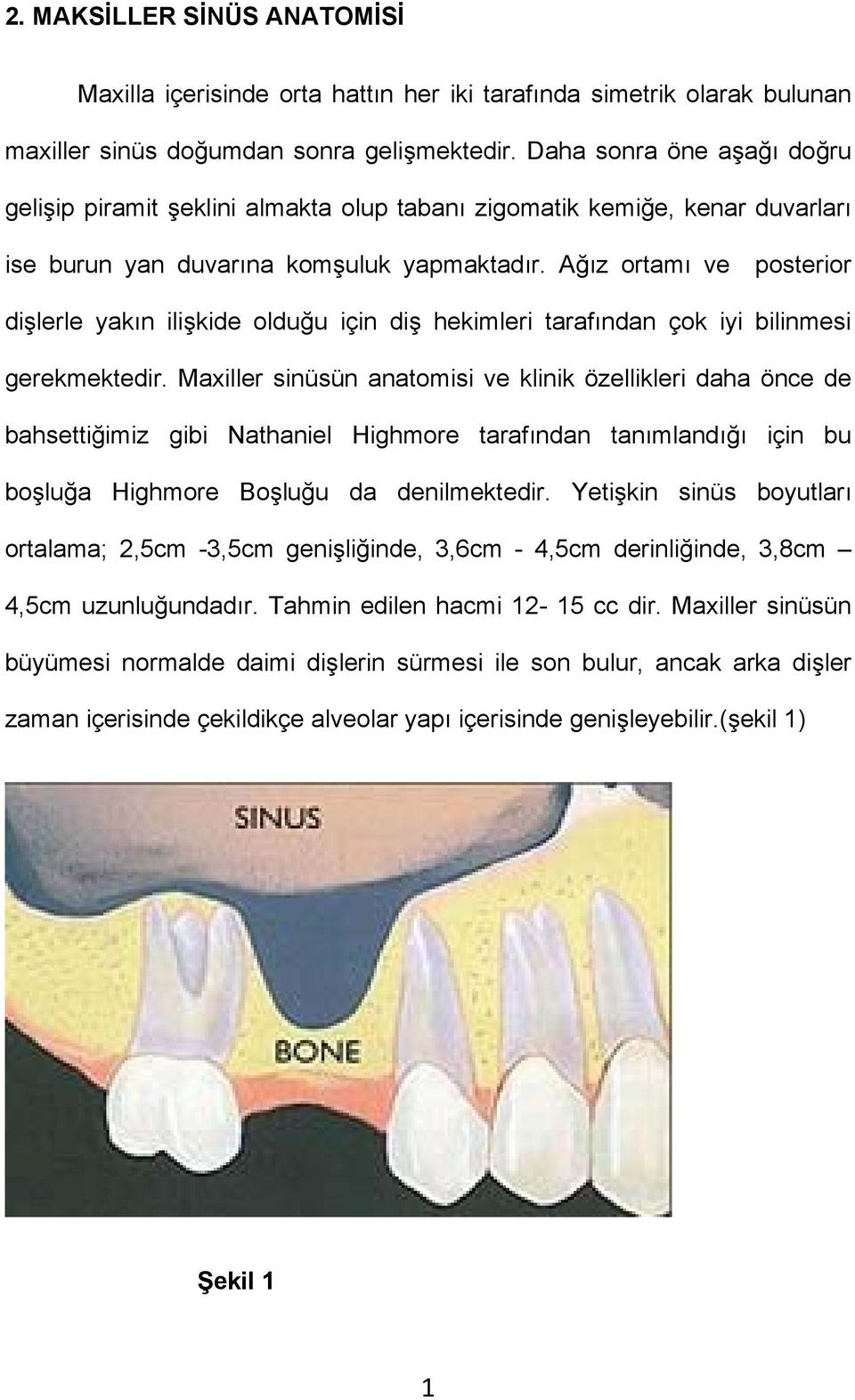 Ağız ortamı ve posterior dişlerle yakın ilişkide olduğu için diş hekimleri tarafından çok iyi bilinmesi gerekmektedir.