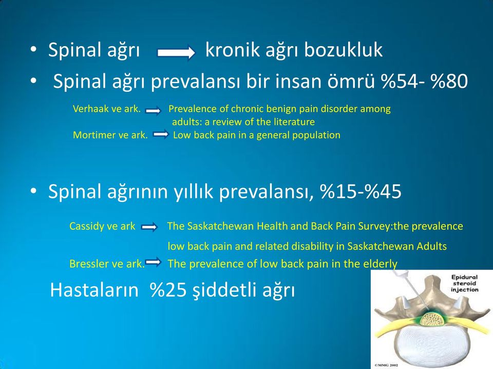 Low back pain in a general population Spinal ağrının yıllık prevalansı, %15-%45 Cassidy ve ark The Saskatchewan Health and
