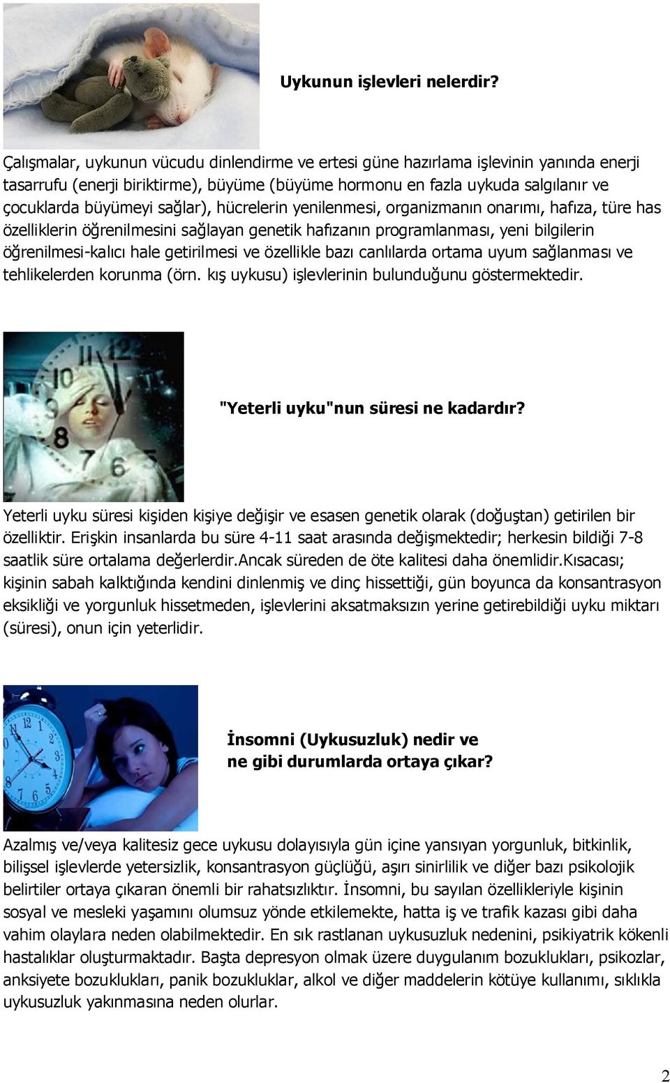 sağlar), hücrelerin yenilenmesi, organizmanın onarımı, hafıza, türe has özelliklerin öğrenilmesini sağlayan genetik hafızanın programlanması, yeni bilgilerin öğrenilmesi-kalıcı hale getirilmesi ve