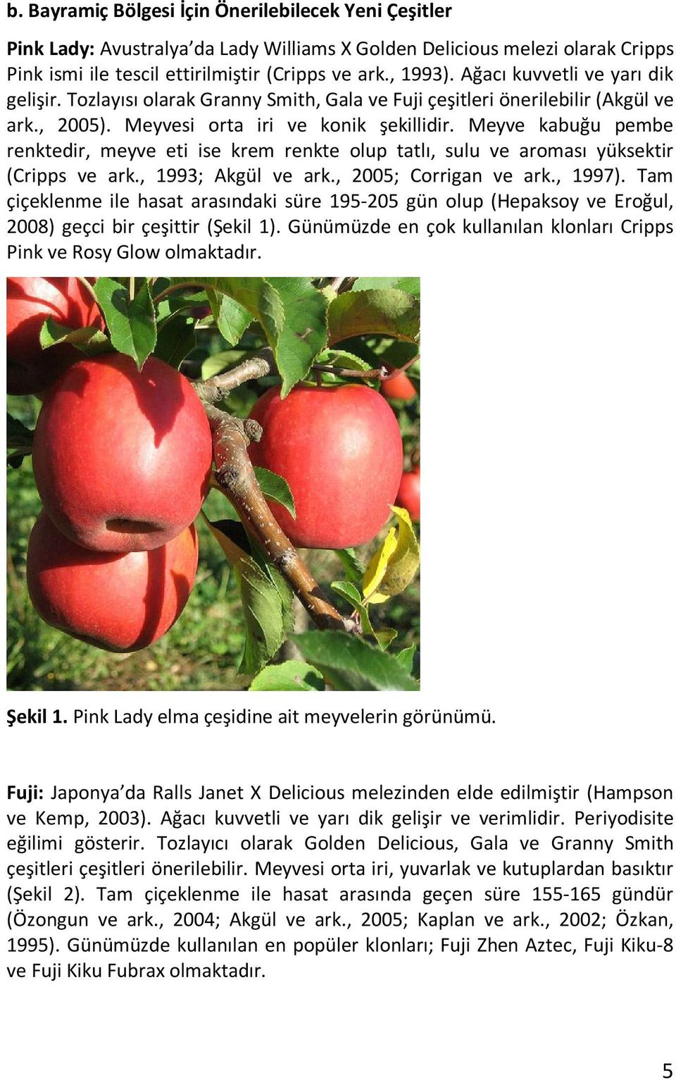 Meyve kabuğu pembe renktedir, meyve eti ise krem renkte olup tatlı, sulu ve aroması yüksektir (Cripps ve ark., 1993; Akgül ve ark., 2005; Corrigan ve ark., 1997).