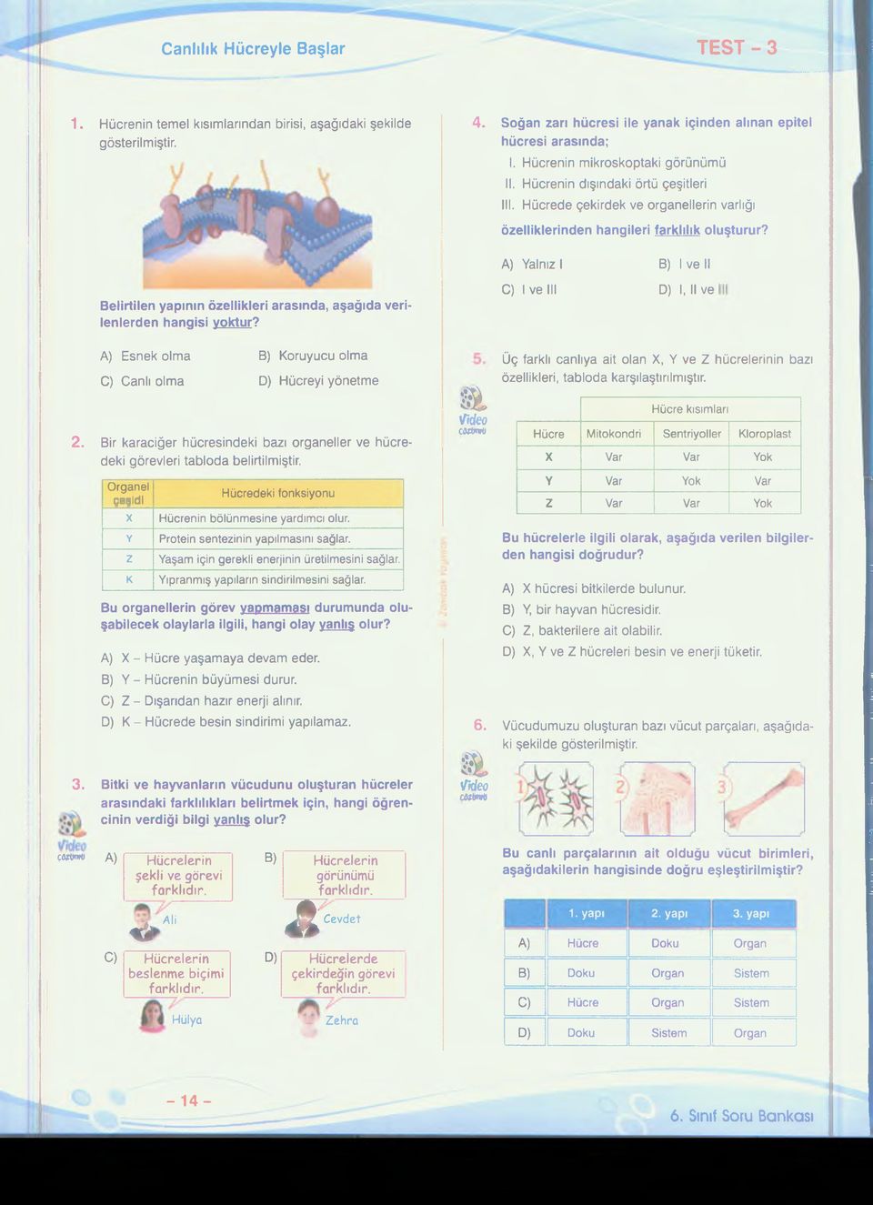 Belirtilen yapının özellikleri arasında, aşağıda verilenlerden hangisi yoktur? A) Yalnız I C) İve III B) İv e li D) I, II ve 2. 3.