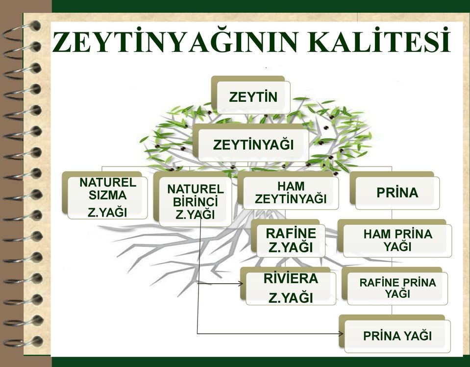 YAĞI HAM ZEYTĠNYAĞI PRĠNA RAFĠNE Z.