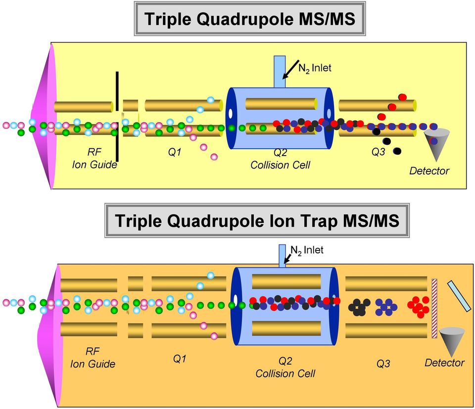 Triple Quadrupole Ion Trap MS/MS N 2