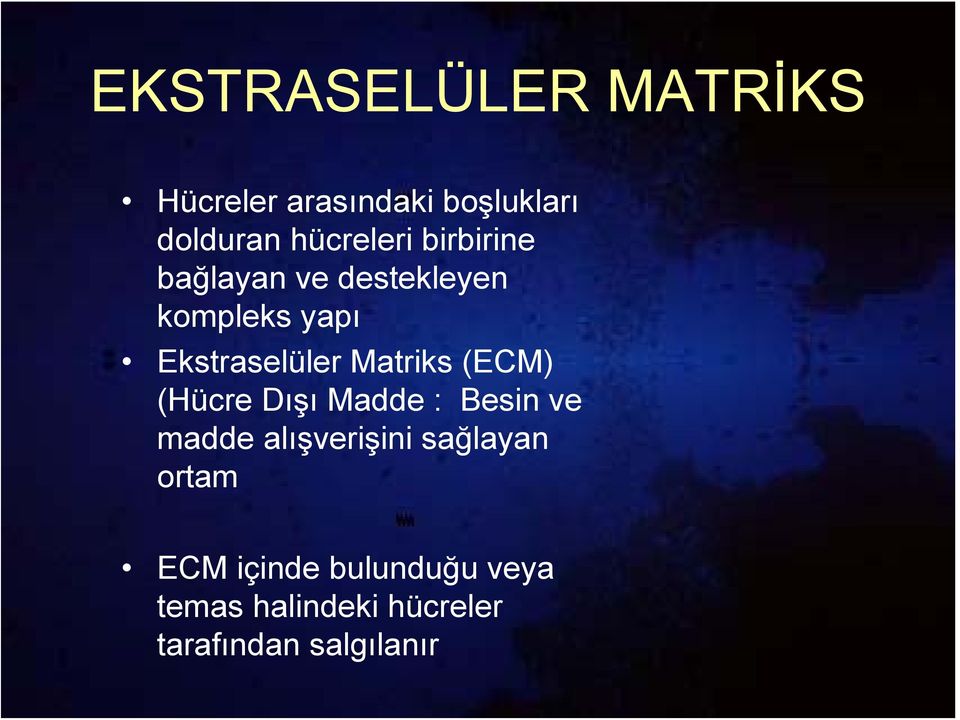 Ekstraselüler Matriks (ECM) (Hücre Dışı Madde : Besin ve madde