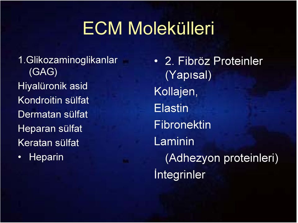 sülfat Dermatan sülfat Heparan sülfat Keratan sülfat