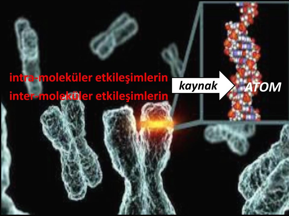 inter-moleküler 