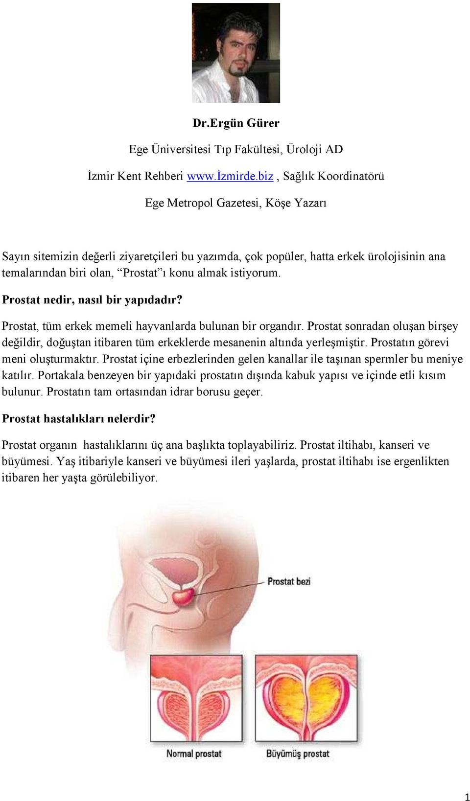 istiyorum. Prostat nedir, nasıl bir yapıdadır? Prostat, tüm erkek memeli hayvanlarda bulunan bir organdır.