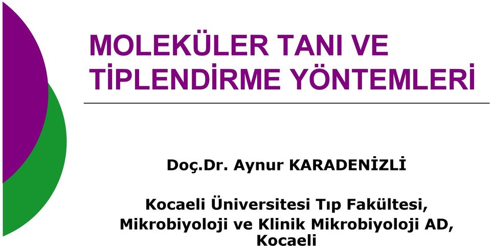 Aynur KARADENİZLİ Kocaeli