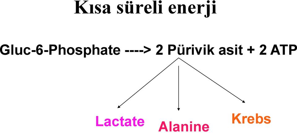 ----> 2 Pürivik asit