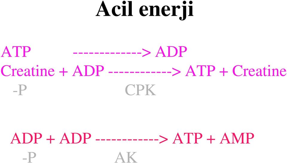 ------------> ATP + Creatine -P