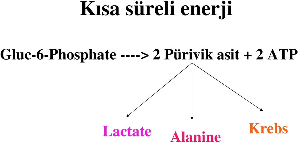 ----> 2 Pürivik asit